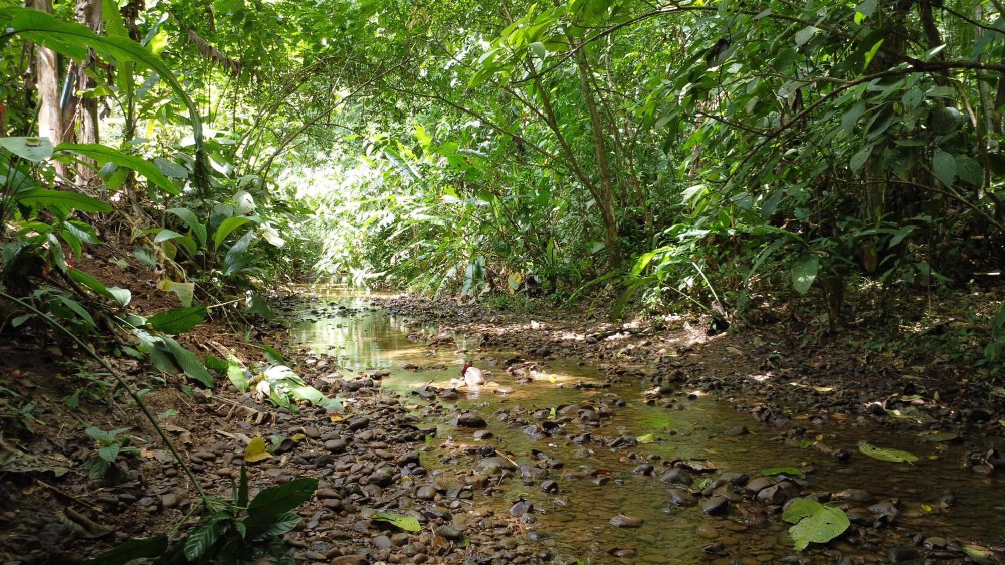 U Sule Villa Cahuita Exterior foto